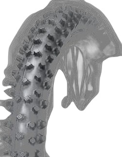 Dunlop GEOMAX MX12
