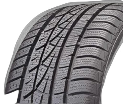 Hankook Winter i*cept evo W310