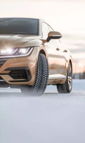 Nokian WR Snowproof - 15