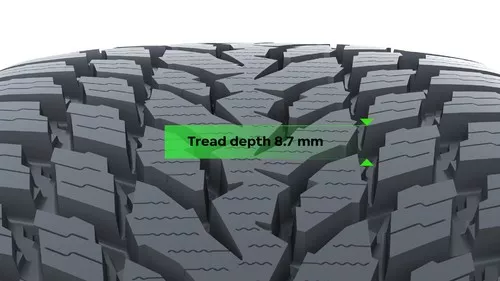 Nokian WR Snowproof - 6