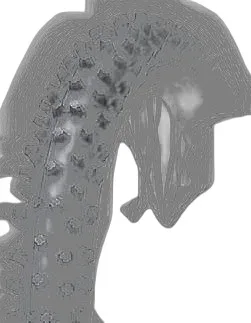 Dunlop GEOMAX MX12