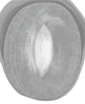 Dunlop Sport Classic
