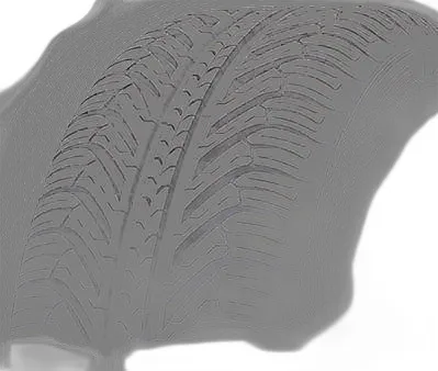 Michelin Pilot Sport A/S+